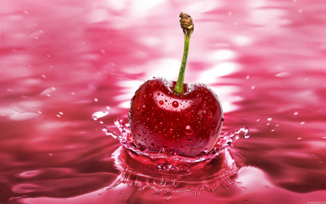 Cherry stem water pink background #2 free wallpaper - medium preview image