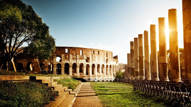 Large building columns steps tree free wallpaper - medium preview image