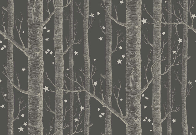 Black white forest stars branches free wallpaper - medium preview image