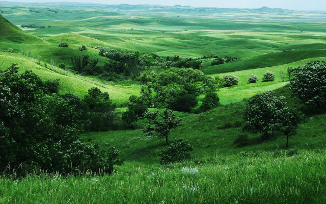Lush green valley trees rolling free wallpaper - medium preview image