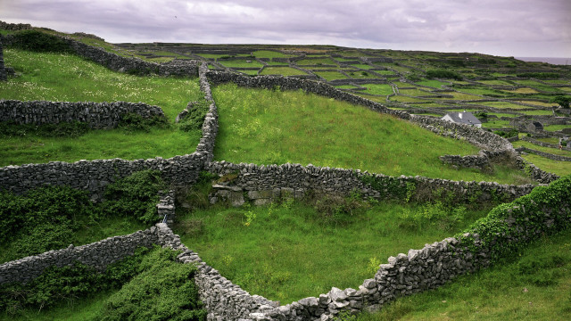 Stone wall grassy field house free wallpaper - medium preview image