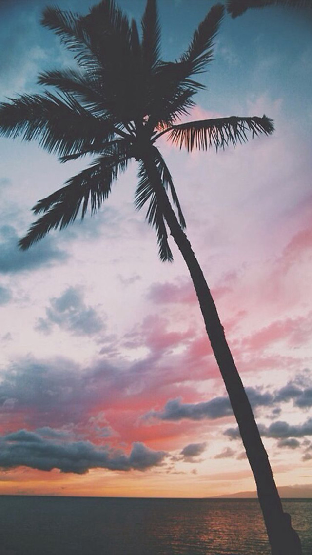 Palm tree silhouette sunset ocean #9 free wallpaper - medium preview image