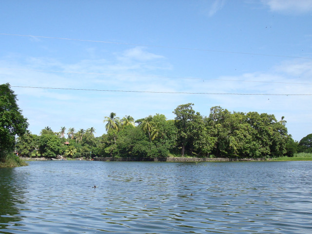 Water trees powerlines blue sky free wallpaper - medium preview image