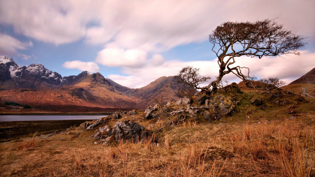 Lone tree grassy hill mountains #4 free wallpaper - medium preview image