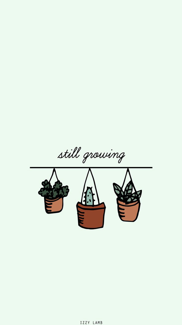 Still growing three potted plants free wallpaper - medium preview image