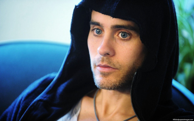 Man hoodie serious look camera #2 free wallpaper - medium preview image