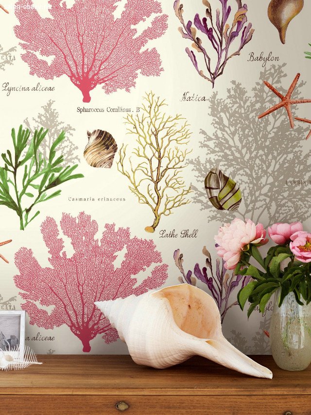 Sea life wall vase flowers free wallpaper - medium preview image