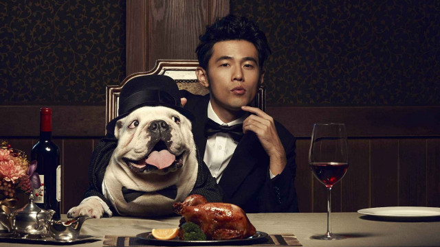Man dog tuxedo table food free wallpaper - medium preview image