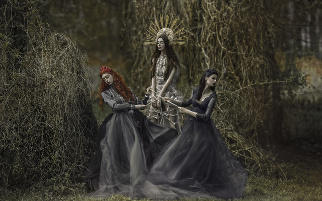 Three women long dresses forest free wallpaper - medium preview image
