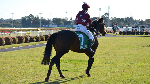 Jockey horse racing track crowd free wallpaper - medium preview image