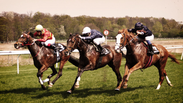 Jockeys racing horses track grassy free wallpaper - medium preview image