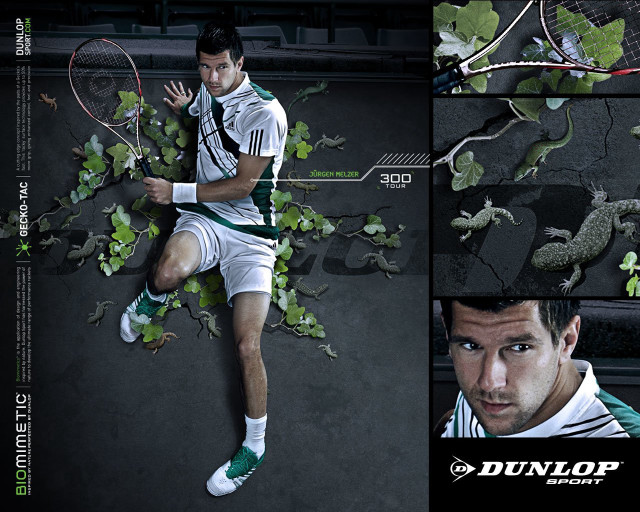 Man tennis racquet court ivy free wallpaper - medium preview image
