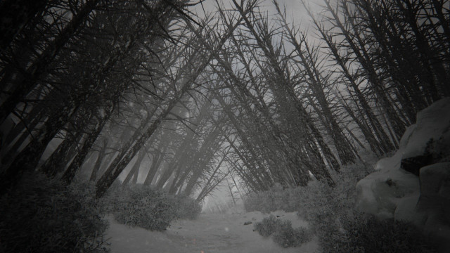 Snowy forest path person walking free wallpaper - medium preview image