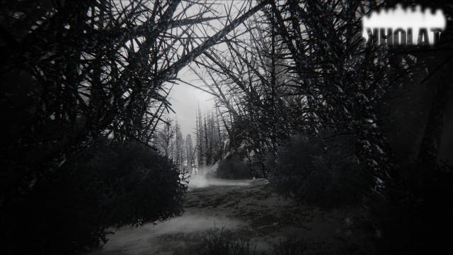 Black white forest path foggy free wallpaper - medium preview image