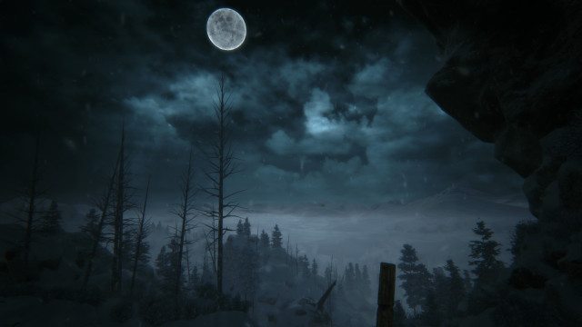 Full moon snowy forest night #2 free wallpaper - medium preview image