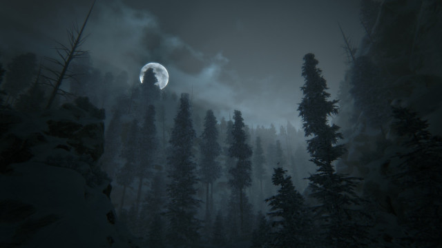 Full moon forest night fog free wallpaper - medium preview image