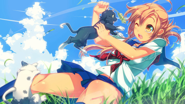 Girl dress cat shoulder grass free wallpaper - medium preview image