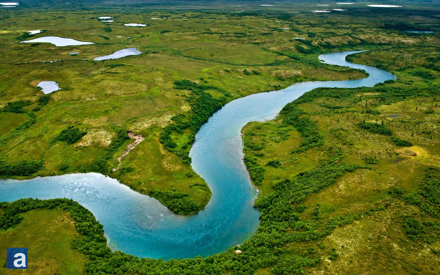 River lush green countryside forest #7 free wallpaper - medium preview image