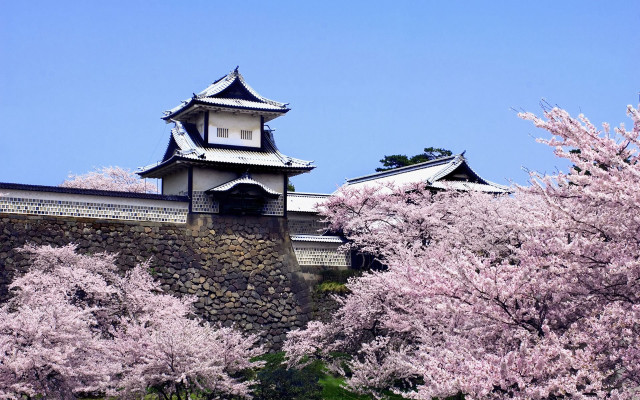 Castle tower cherry blossoms trees free wallpaper - medium preview image