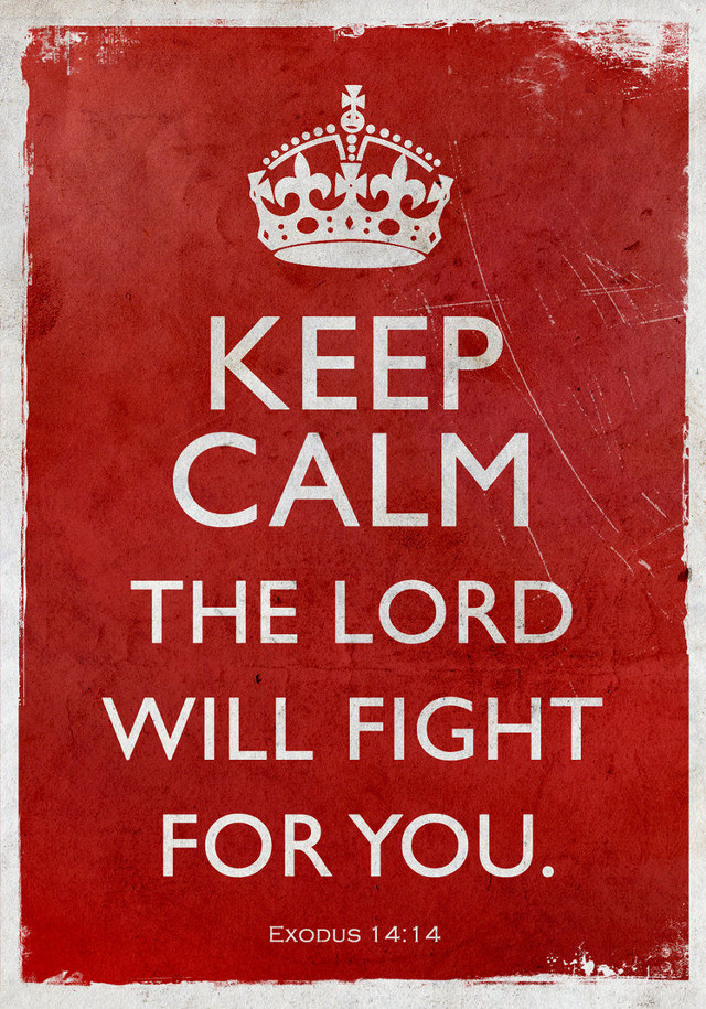 Keep calm lord fight red free wallpaper - medium preview image