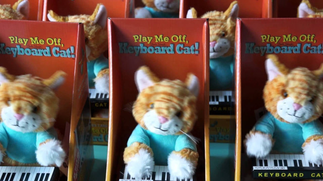 Stuffed animals box keyboard cat free wallpaper - medium preview image