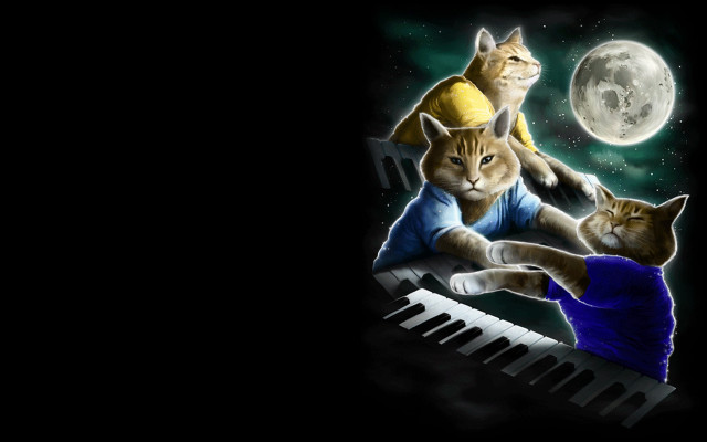 Cat piano two cats full free wallpaper - medium preview image