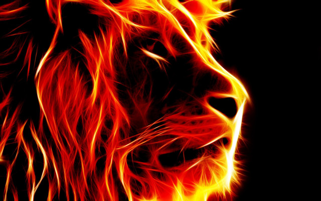 Lion flames dark red yellow free wallpaper - medium preview image