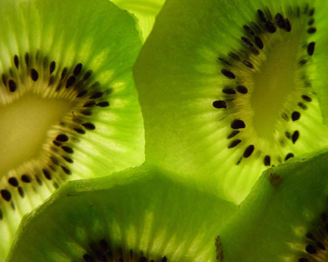 Kiwi slice seeds green background free wallpaper - medium preview image