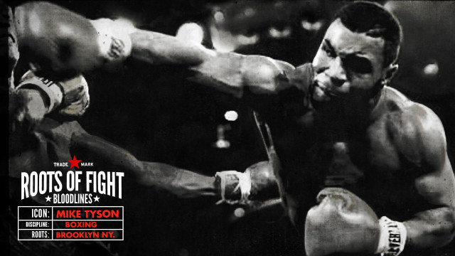 Man hitting man boxing ring free wallpaper - medium preview image