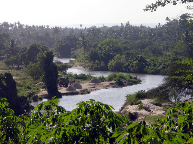 River lush green forest trees free wallpaper - medium preview image