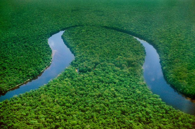 River lush forest trees water free wallpaper - medium preview image