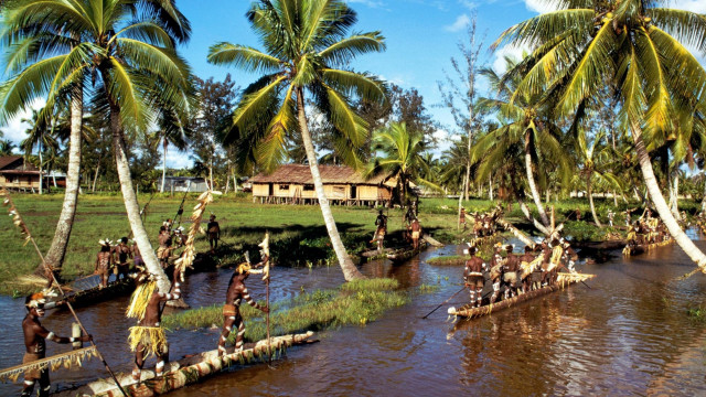 Wooden boats river palm trees free wallpaper - medium preview image