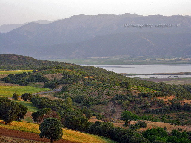 Scenic lake mountains trees road free wallpaper - medium preview image