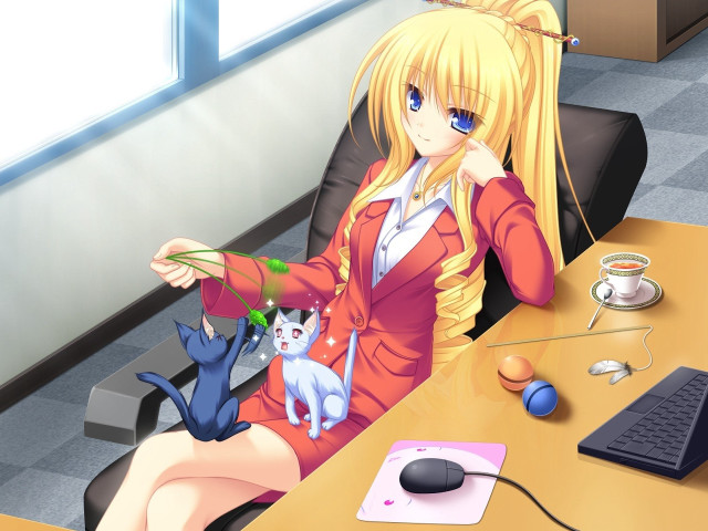 Woman sitting desk cat computer free wallpaper - medium preview image