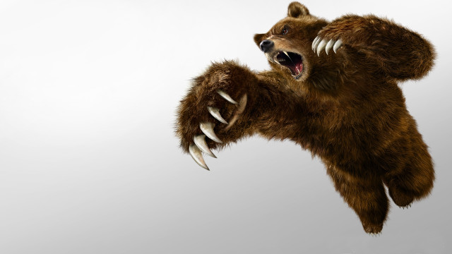 Bear claws air mouth wide free wallpaper - medium preview image