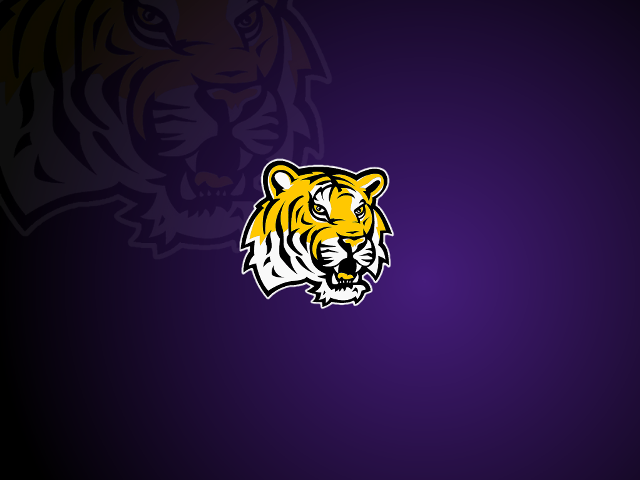Tiger head purple background black #2 free wallpaper - medium preview image