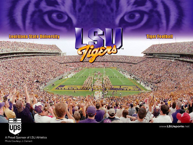 Tiger eye football stadium face #2 free wallpaper - medium preview image