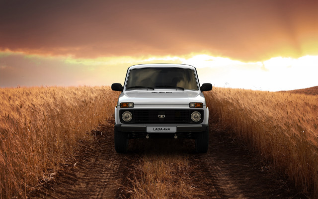 White truck dirtroad tallgrass cloudy free wallpaper - medium preview image