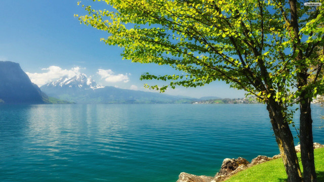 Tree water mountains blue sky free wallpaper - medium preview image
