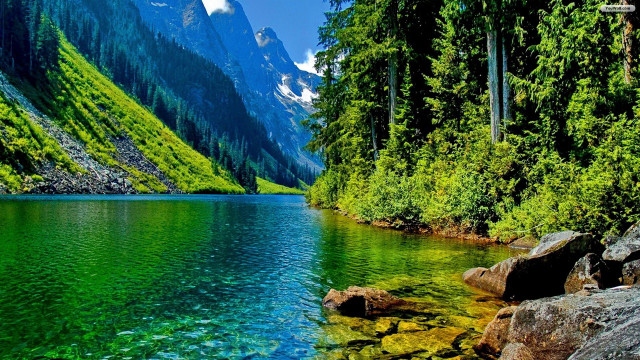 Mountain lake trees rocks forest free wallpaper - medium preview image