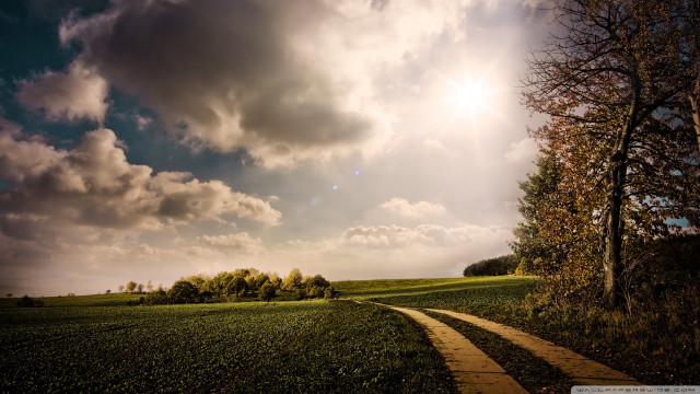 Path field tree sun clouds free wallpaper - medium preview image