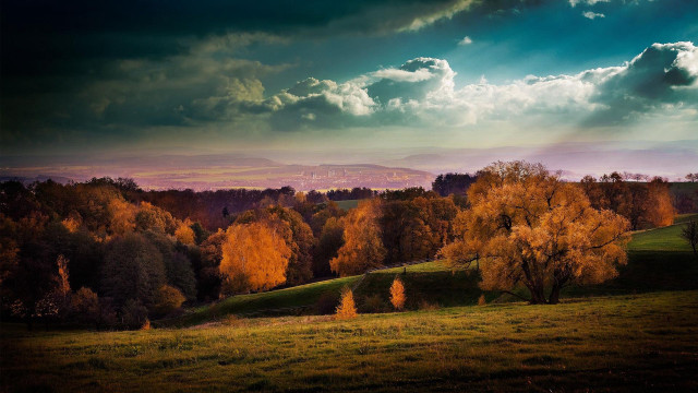 Field trees sky clouds mountain free wallpaper - medium preview image