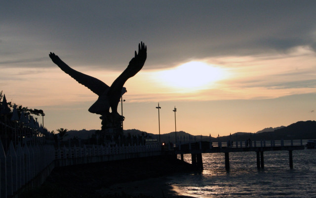 Bird flying water sunset bridge free wallpaper - medium preview image
