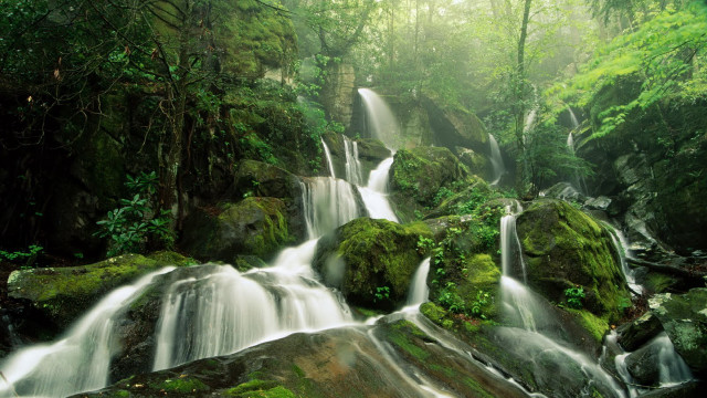 Waterfall forest mossy rocks trees #3 free wallpaper - medium preview image