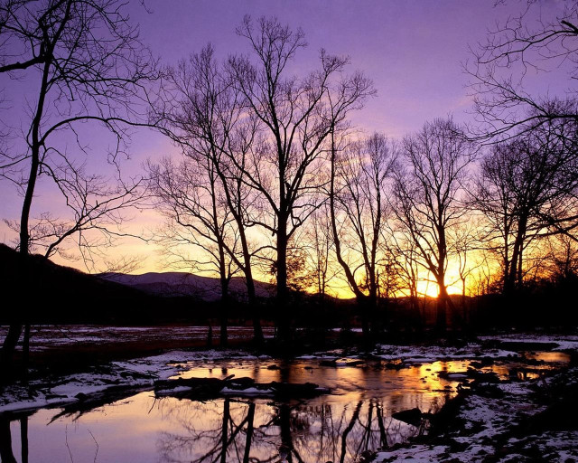 Sunset trees water ice floes free wallpaper - medium preview image