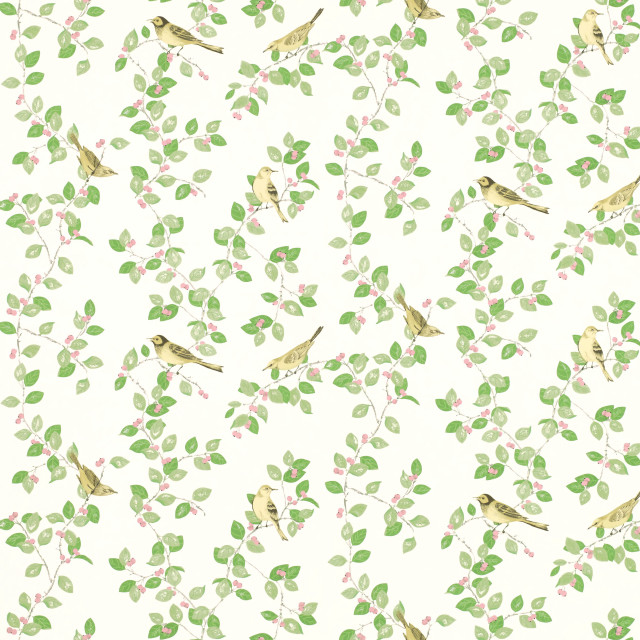 White background birds leaves green free wallpaper - medium preview image