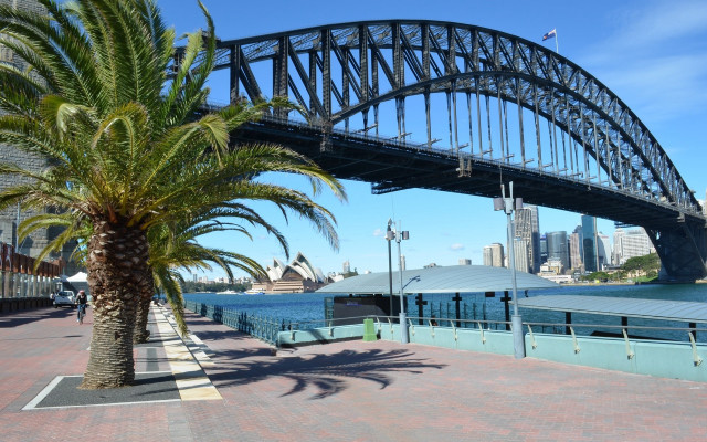 Palm tree bridge water boat free wallpaper - medium preview image