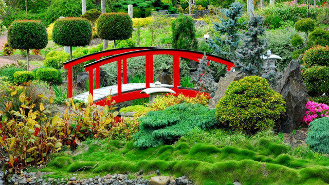 Red bridge pond trees bushes free wallpaper - medium preview image