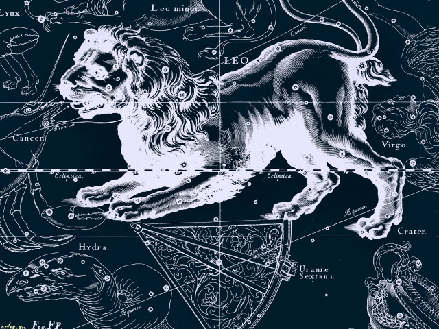 Zodiac lion numbers sign image free wallpaper - medium preview image