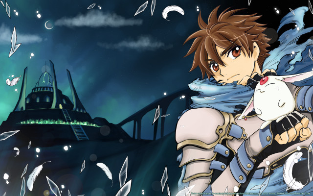 Anime cat nightcastle bird moon free wallpaper - medium preview image